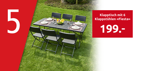 Klapptisch mit 6 Klappstühlen «Fiesta»