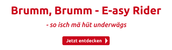 Brumm, Brumm - E-asy Rider 