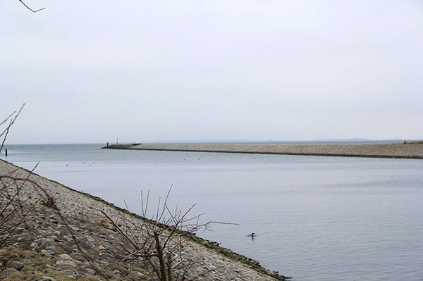 NABU lehnt LNG-Terminal Lubmin ab Generelle Kritik an Verfahrensablauf und Umweltgefährdung bleibt bestehen