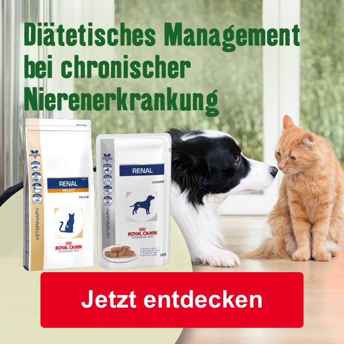 Jetzt entdecken - Royal Canin