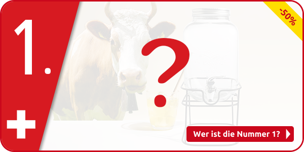 Getränkespender aus Glas mit Halter, 4 l