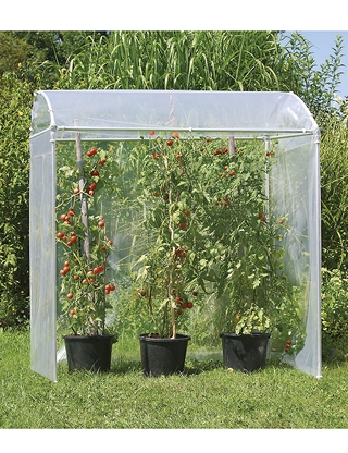 Tomatenhaus AluProfi mit UV-Folie