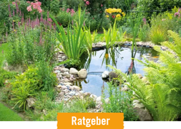 HORNBACH Ratgeber Gartenteich anlegen und pflegen