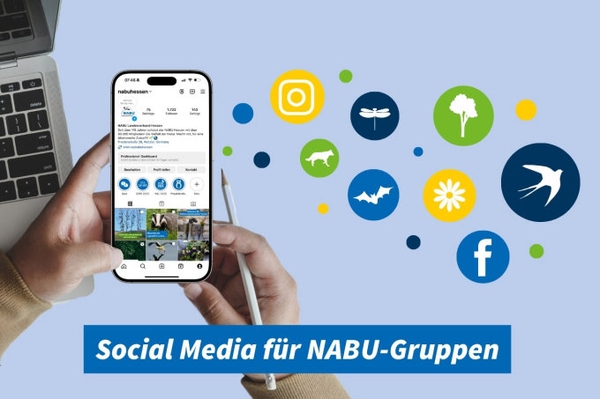 Social Media für NABU-Gruppen 11.2.2025: Ein Überblick von A wie Algorithmus bis Z wie Zielgruppen