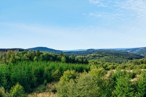 Thüringer Wald – Foto: iStock Fotos