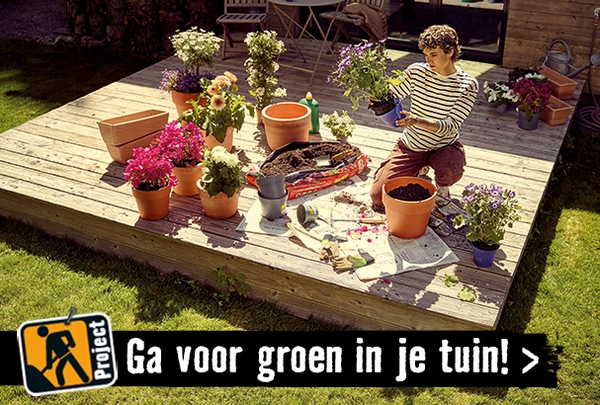 Groene tuin aanleggen | HORNBACH