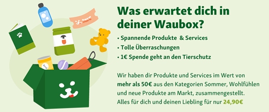 Das erwartet dich in deiner Waubox