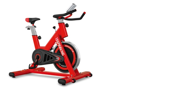 Spin Bike, 8 kg (Schwungrad)