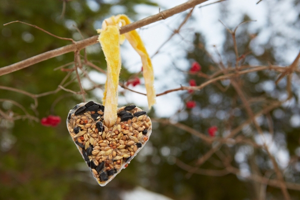 Flaute bei der Winterfütterung? Wie Sie Gartenvögel nachhaltig unterstützen können
