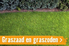 Graszoden, graszaad en kunstgras | HORNBACH