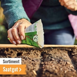 Saatgut im HORNBACH Onlineshop