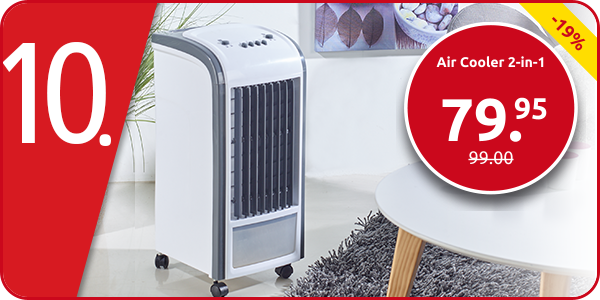 Air Cooler 2-in-1