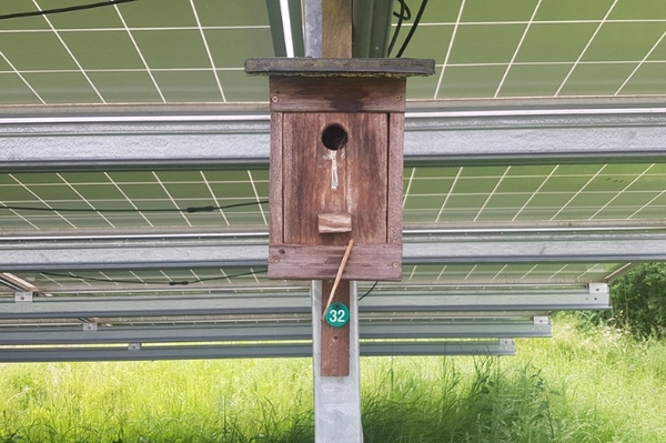 Solarparks vogelfreundlich planen und gestalten NABU-Studie zeigt Möglichkeiten auf