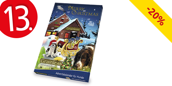 Adventskalender «Hunde»
