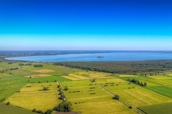 Das Steinhuder Meer Ein Hotspot für Artenvielfalt