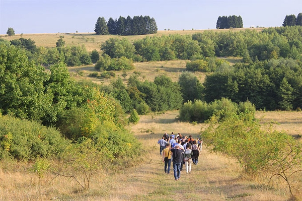 Diese Bundesländer müssen nachlegen Rahmen für Natuschutz oft unzureichend