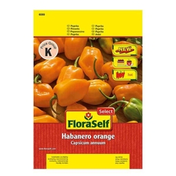 Chili 'Habanero' FloraSelf Select samenfestes Saatgut Gemüsesamen