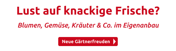 Lust auf knackige Frische?