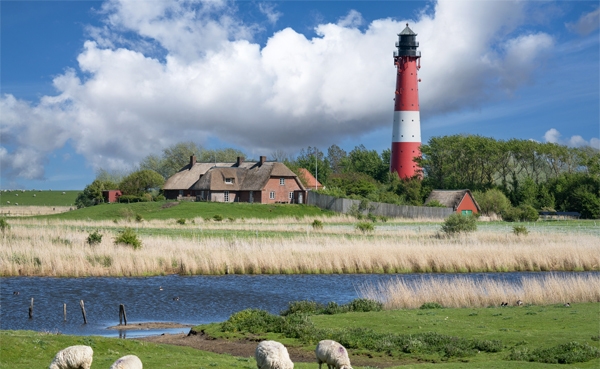 Mit dem DaF-Dossier in den Norden (Bild: Shutterstock.com/Wirestock Creators)
