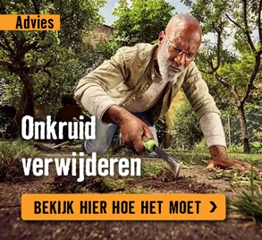 Onkruid verwijderen | HORNBACH