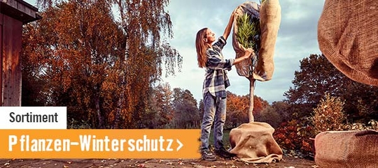 Pflanzen-Winterschutz im HORNBACH Onlineshop