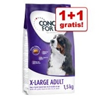 1 + 1 gratis! 2 x 1,5 kg Concept for Life Hondenvoer