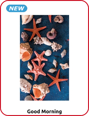 Strandtuch «Sea Star», 100 x 180 cm