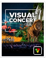 Visual Concert 4: Koncert Muzyki Filmowej i Epickiej z Wizualną Podr&oacute;żą po Świecie