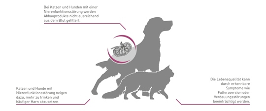 Royal Canin RENAL: Bei Nierenerkankrungen