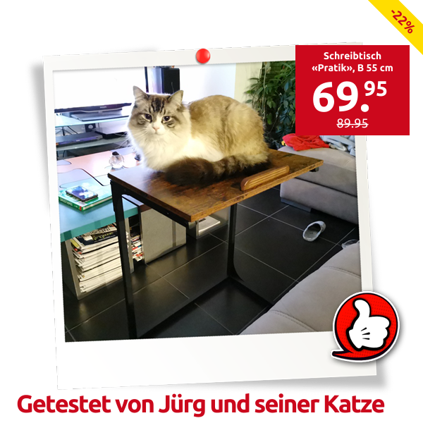 Schreibtisch «Pratik», B 55 cm