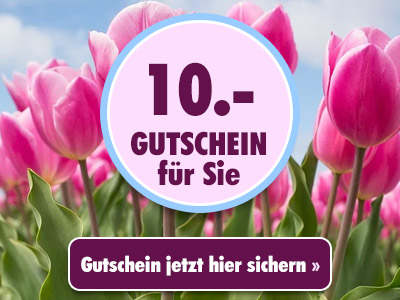 10.- Gutschein!