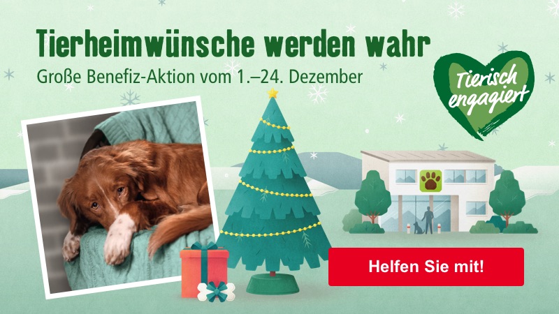 Tierheimwünsche werden wahr