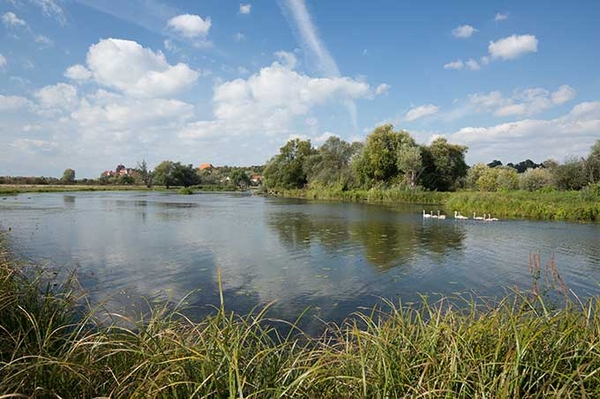 NABU-Schiffstouren auf der Havel Das Renaturierungsgebiet mit unseren Fluss-Experten entdecken