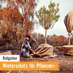 HORNBACH Ratgeber Winterschutz für Pflanzen