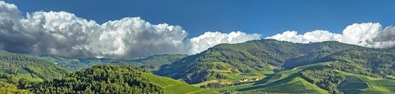 Ferienunterkunft im Schwarzwald finden