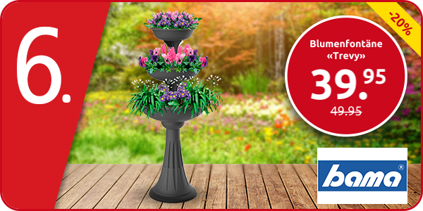 Blumenfontäne «Trevy»