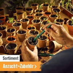 Anzucht-Zubehör im HORNBACH Onlineshop