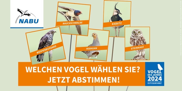 Vogel des Jahres 2024: die fünf Kandidaten – Fotos (v.l.n.r.): Fotos (v.l.n.r.) Marcus Bosch, M. Schäf, Willi Rolfes, Hans Clausen/LBV, M. Schäf