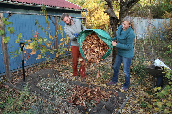 Artenvielfalt im eigenen Garten Das können Sie im Herbst tun