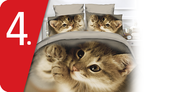 Garnitur «Kätzchen»