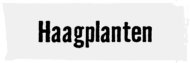 Haagplanten | HORNBACH