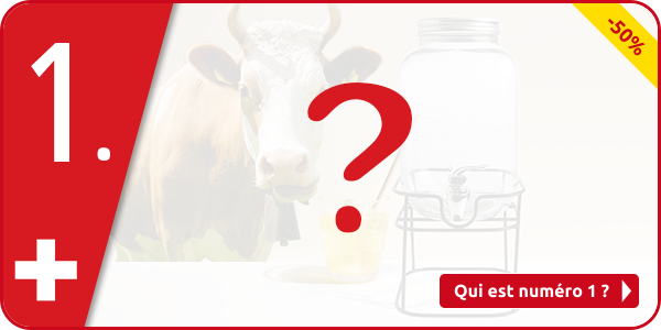 Distributeur de boissons en verre avec support, 4 l