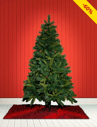 Tannenbaum mit 650 Zweigen, Höhe 180 cm
