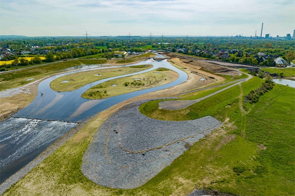 Neue Emscher-Mündung: Artenvielfalt kehrt zurück! Erster Zwischenstand: Rund 600 Arten wurden an der neuen Emscher-Mündung entdeckt