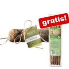 Chewies Olijvenhout-Kauwrol + Chewies Sticks Maxi gratis!