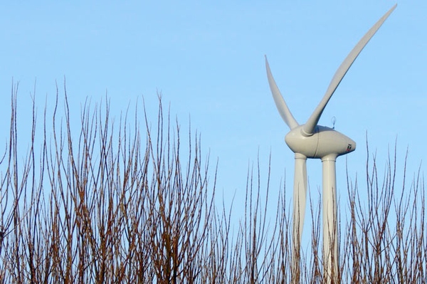 Windenergiekonzept der Bundesregierung bedroht Planung des Landes Seeadler & Co. verlieren ihren notwendigen Schutz