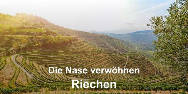 Die Nase verwöhnen - Riechen