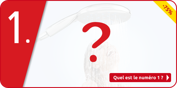 Regen-Duschkopf «Wellness» mit 5 verschiedenen Programmen