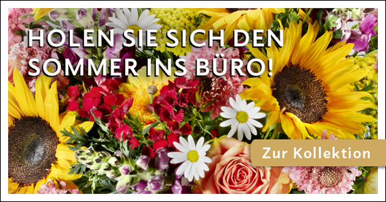 Zur Kollektion