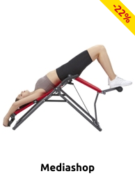Mediashop 2-in-1 Inversionstrainer «Backlounge»